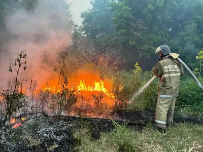 С начала пожароопасного периода зарегистрированы 394 лесных и 22 степных  пожара | Inbusiness.kz