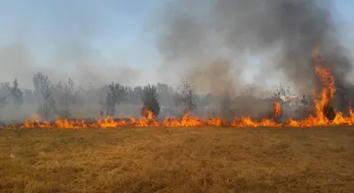 Причину страшного пожара на полигоне ТБО в Крыму установит прокуратура