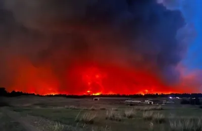 При пожаре в Геленджике погибло очень много краснокнижных деревьев - РИА  Новости, 31.08.2023