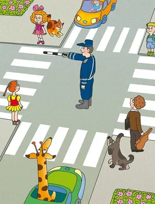 Картинки про правила дорожного движения | Safety rules for kids, Cartoon  clip art, Kids rugs