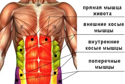 Каменная пресса Dieting и фитнес Стоковое Фото - изображение насчитывающей  мышца, тренировка: 119847772