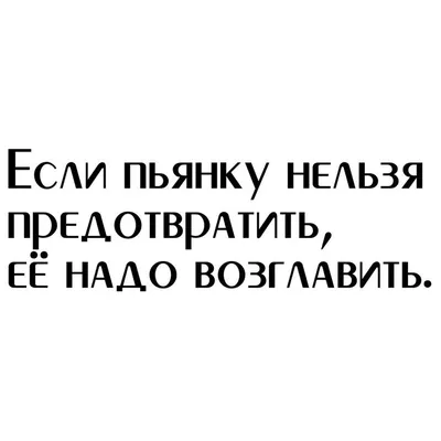 Приколы про алкоголь. Весёлые картинки / Писец - приколы интернета