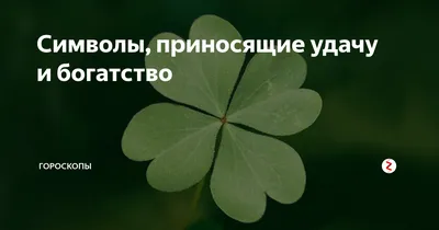 Комнатные растения приносящие богатство – денежные деревья - Блог The Plant