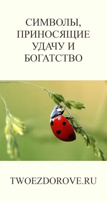 Покерные и игорные талисманы. Чем игроки приманивают удачу :: Школа покера  Smart Poker