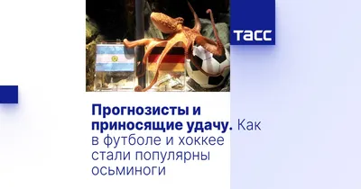 Заставки на телефон, приносящие удачу: бабочка - успех, мельница – изобилие  и деньги – Новости Салехарда и ЯНАО – Вести. Ямал. Актуальные новости Ямала