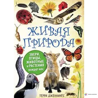 Primal Earth – красивый симулятор животного мира и дикой природы  африканского континента