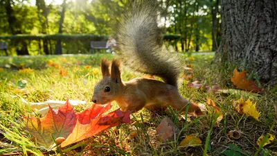 Красота русской природы (45 фото)