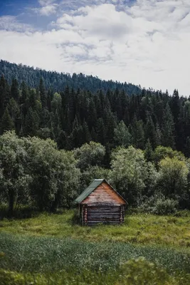 Посетители фестиваля дикой природы увидят лучшие фотоработы со всего мира