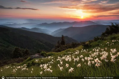 In Search of the Way: Secrets of the Ideal Trips of the Finalists of the  Contest \"Territory of Nature\" | Russian Geographical Society