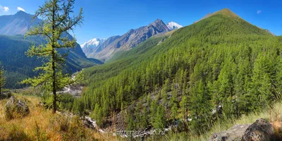 Фотографии природы Карелии возле парк-отеля «Sorola Village»