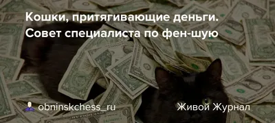 Стильное украшение и амулет, притягивающий деньги и богатство💰✨ Кулон в  виде монетки смотрится особенно стильно, если надеть его поверх… | Instagram