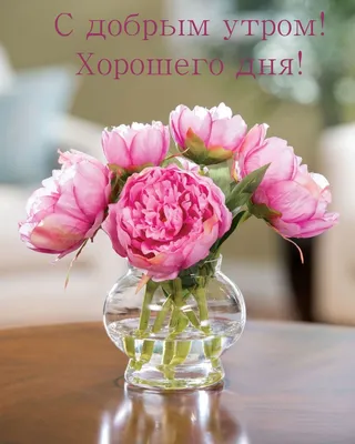 привет #хорошегодня #открытка #котик#настроение | TikTok