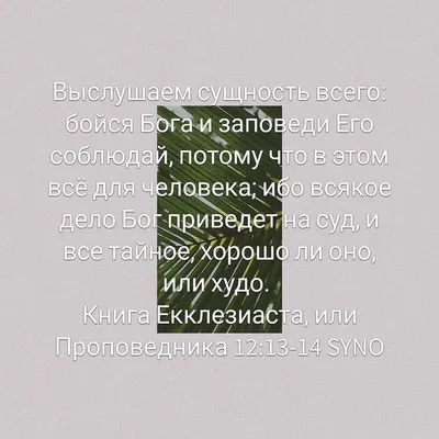 🌿 Если человека лишить Бога, он не будет понимать, в чём смысл жизни. В  чём его радость, в чём его добро. Ведь добро то - прежде всего… | Instagram