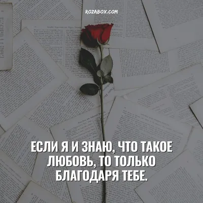 Картинки мужчине с надписью люблю тебя со смыслом (43 фото) » Юмор, позитив  и много смешных картинок