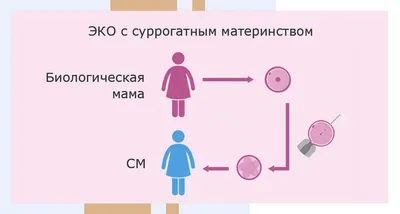 материнство иллюстрация вектора. иллюстрации насчитывающей фонд - 18298387