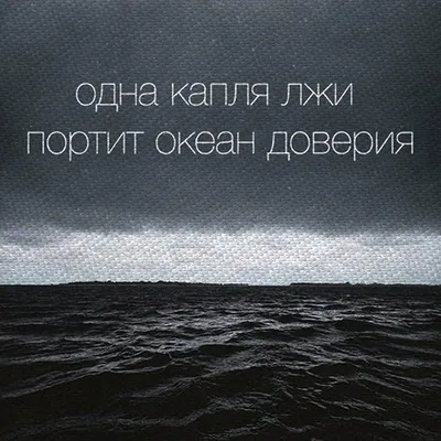 Ложь, ложь, ложь, частично правда. Вместе с экспертом, определяющим по  мимике и жестам истину и обман, разобрали интервью польского солдата