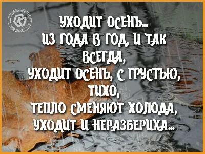 С добрым осенним утром - новые оригинальные картинки (47 ФОТО) | Доброе  утро, Счастливые картинки, Смешные поздравительные открытки