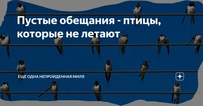 Пустые обещания: каким словам можно верить, а на какие даже не стоит  рассчитывать | Просто Лю | Дзен