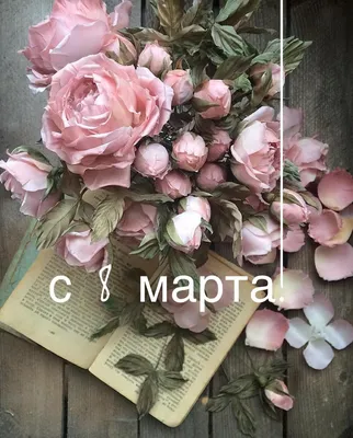 Картинки со смыслом про брата и сестру