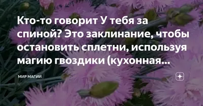 И пусть сплетни за моей спиной станут ожогом на вашем Языке - выпуск №82309