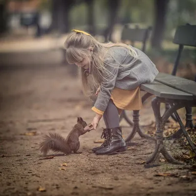 Фото без слов