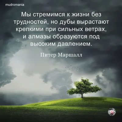 От экологии природы к экологии души - Экологическая электронная библиотека