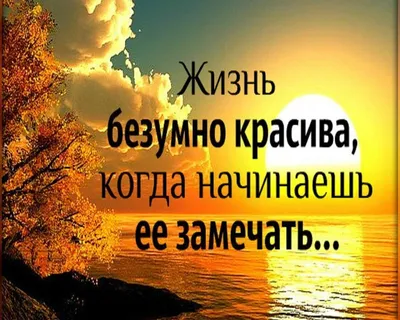 Жизнь безумно красива, когда начинаешь её замечать!\" Красивые цитаты и  высказывания о жизни. | Всяко разно | Дзен