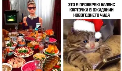 https://mixnews.lv/news/2024/01/05/memy-i-foto-prikoly-pro-novyy-god-i-vyhodnye/