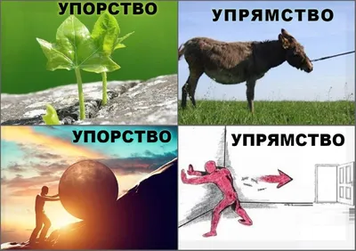 Картинки про