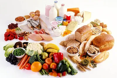 Классификация продуктов питания - Продукты - Питание - MEN's LIFE
