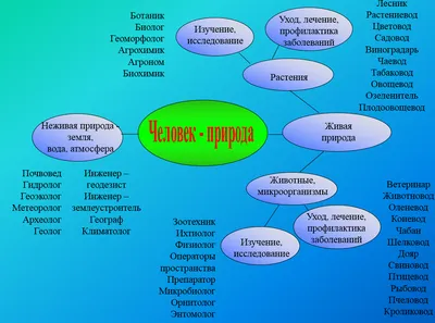 Профессии для детей в картинках. Лото. Кто чем занимается