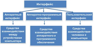 Программное обеспечение как объект авторских прав, права авторов программ и  баз данных