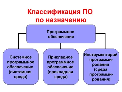 Виды программного обеспечения компьютеров: примеры ПО по назначению, какие  бывают основные типы системных программ для ПК.