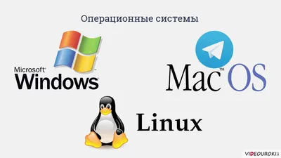 Итоги 2023 года: программное обеспечение / Программное обеспечение