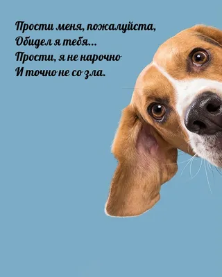 Доченька, прости меня, пожалуйста». Не могу, тяжело мне». Во сне покойный  отец довёл меня до слёз | КЛЮЧ ОТ СНОВИДЕНИЙ | Дзен