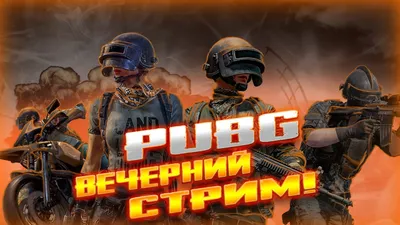 Обложка на паспорт PlayerUnknown's Battlegrounds, PUBG, ПУБГ №20 |  AliExpress