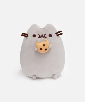 Мягкая игрушка, Пушин кэт, Pusheen cat с письмом, Серый (103-gv) купить по  низкой цене в Киеве, Харькове, Одессе, Украине