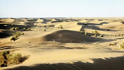 Узбекских военных научат выживать в пустыне