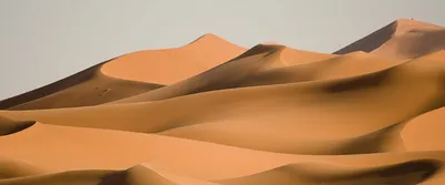 Оттенки пустыни.... Photographer Aleksandr Kukrinov