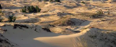Исследование Иудейской пустыни - важные открытия и незабываемые впечатления  - DeadSea.com