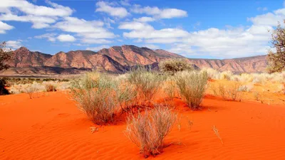 красивые пейзажи пустыни, пустыня, пейзаж, естественный фон картинки и Фото  для бесплатной загрузки