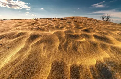 Белая пустыня — Википедия