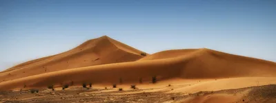 Пустыни Узбекистана