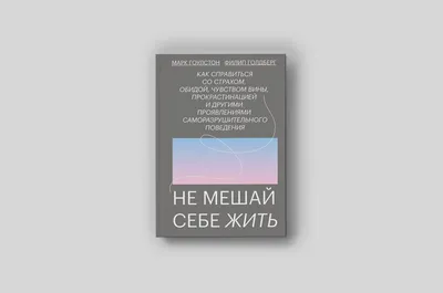 YouTube. Путь к успеху. Как получать фуры лайков и тонны денег, Николай  Соболев – скачать книгу fb2, epub, pdf на ЛитРес