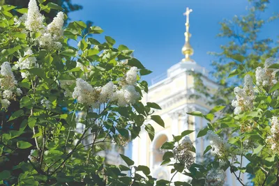 Рай рая Свет в небе Драматическая предпосылка природы красивейшее облако  Стоковое Фото - изображение насчитывающей вера, конспектов: 122211072