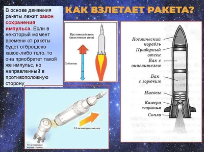 Первые в космосе - Самарский университет