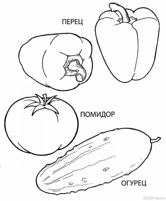 Раскраски Овощи - распечатать бесплатно | Мишкины книжки