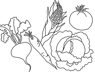 Раскраски овощи для 4 лет (54 фото) » рисунки для срисовки на Газ-квас.ком
