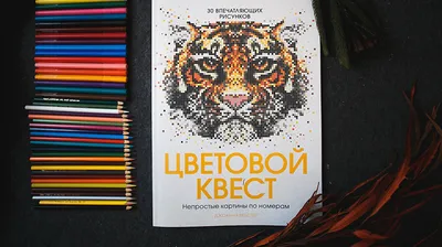 Раскраски По номерам карандашами (29 шт.) - скачать или распечатать  бесплатно #8917