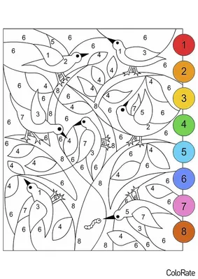 Раскраска Птицы по номерам распечатать - Раскраски по номерам